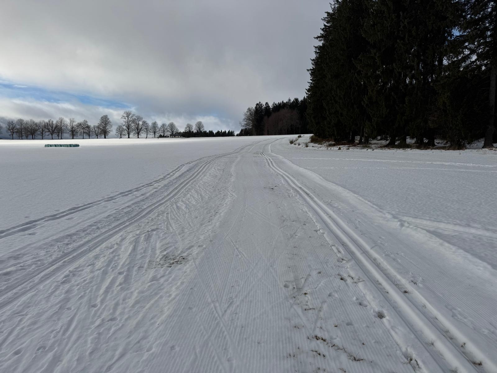 Stav stop 13 01 2026 odpoledne