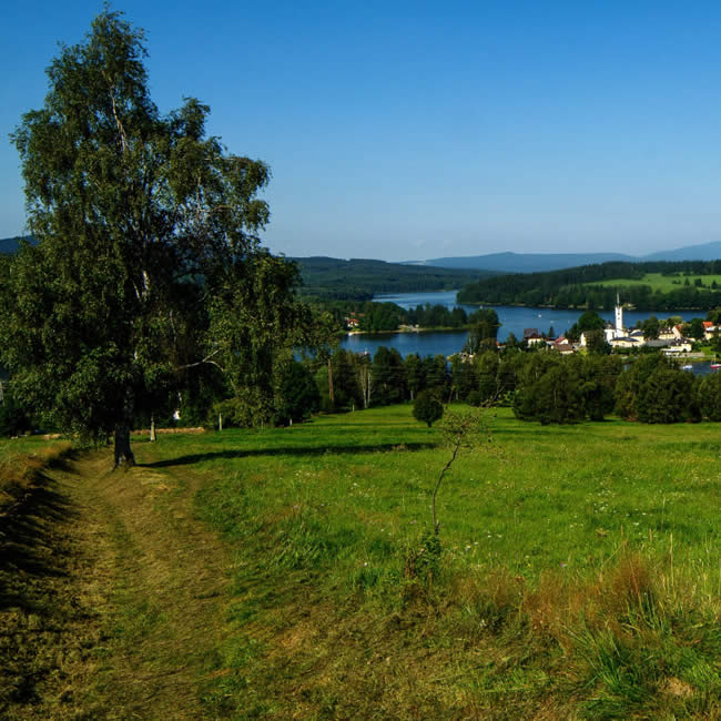 Velotrail 1 - Frymbursko